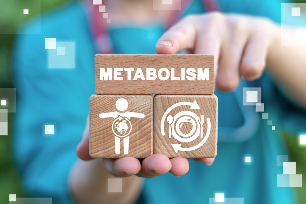 Metabolisme Tubuh: Apa Itu dan Apa Fungsinya untuk Tubuh?