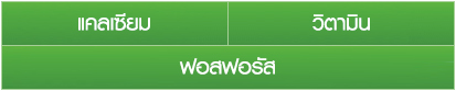 แอนลีน โบนซ์แอคทีฟ