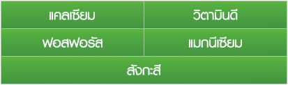 แอนลีน สูตรแคลเซียมเข้มข้น