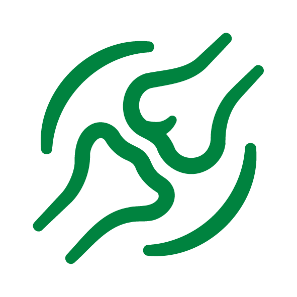 Vitamin C Joint Health icon